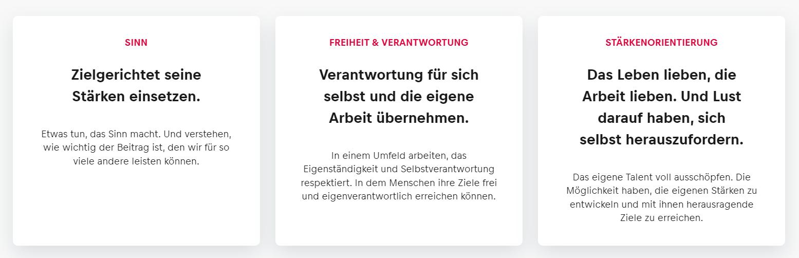 Die Employer Value Proposition von Red Bull