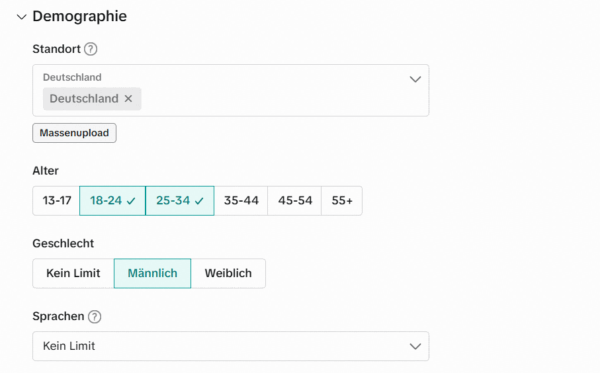 Ausschnitt aus dem TikTok Anzeigenmanager