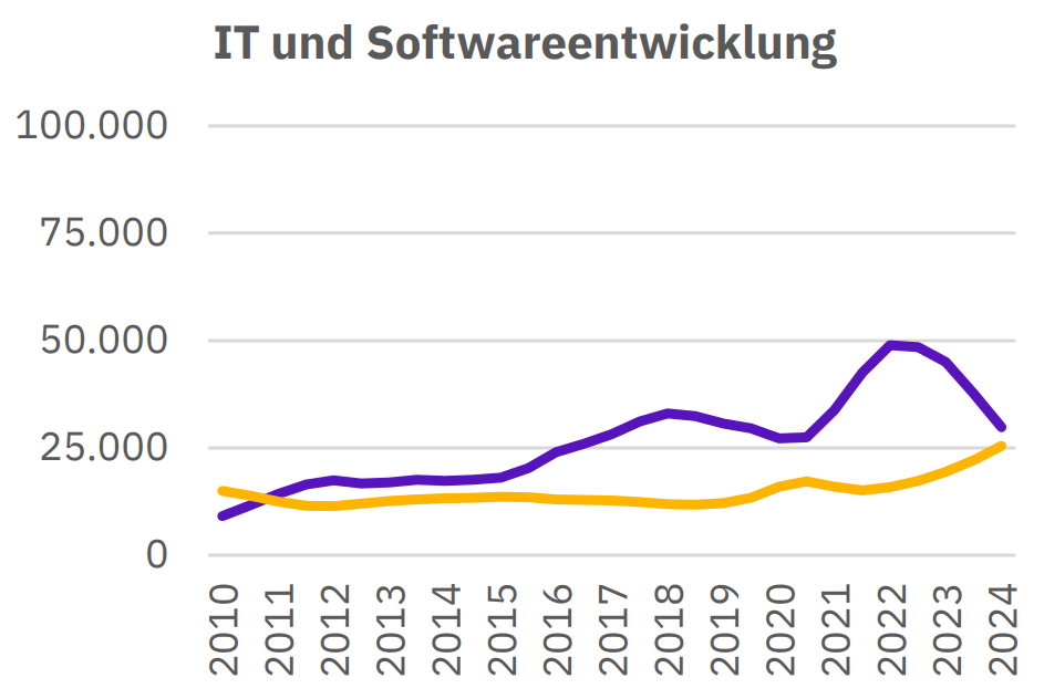 Fachkräftecheck Chemie: IT und Softwareentwicklung